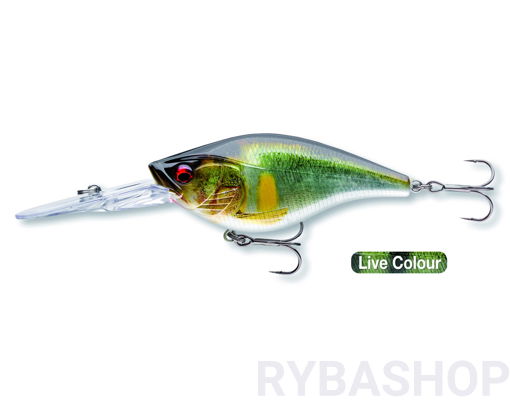 Bild von Daiwa Prorex Crank Bait 80DR, Live Ayu