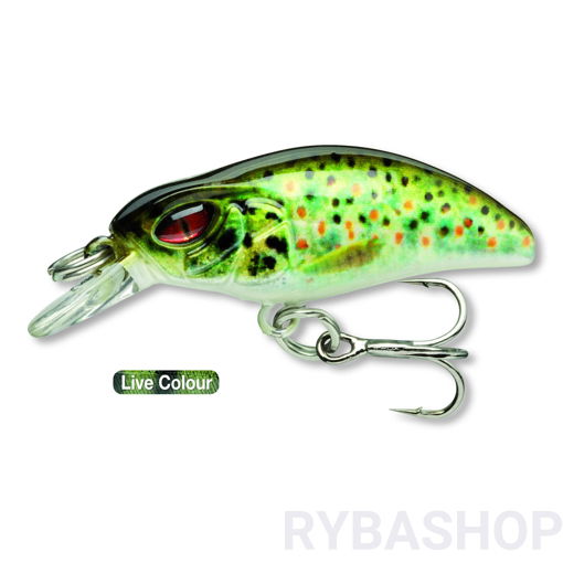 Image sur Daiwa Prorex Micro Minnow F-SR, Live Brown Trout