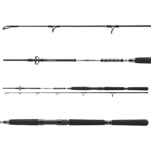 Daiwa BG Boat 2.10m 150-400g