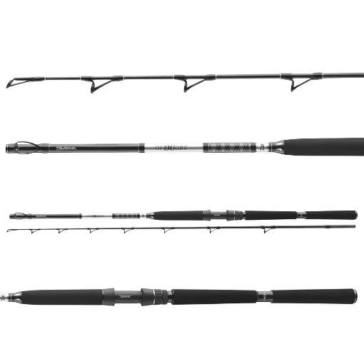 Daiwa BG Deep Sea 2.20m 150-300g